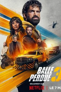 Шальная пуля 3